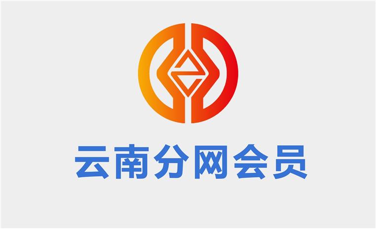 中华第一财税网云南分网会员币详细图