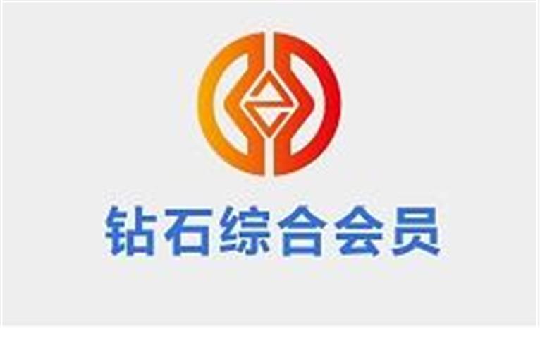 中华第一财税网钻石综合会员币详细图