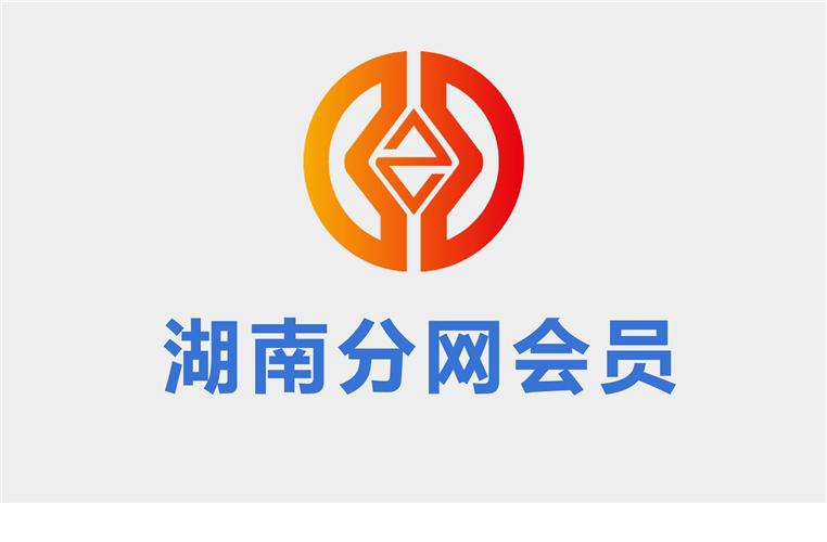 中华第一财税网湖南分网会员币详细图
